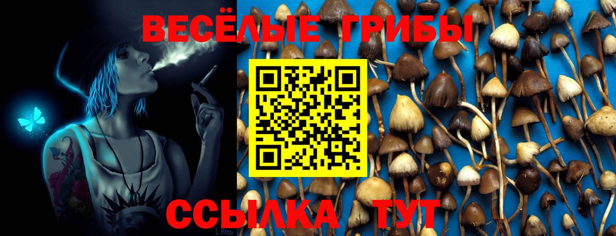 Брянск  купить  сайты  Вход с VPN  Галлюциногенные грибы мицелий 